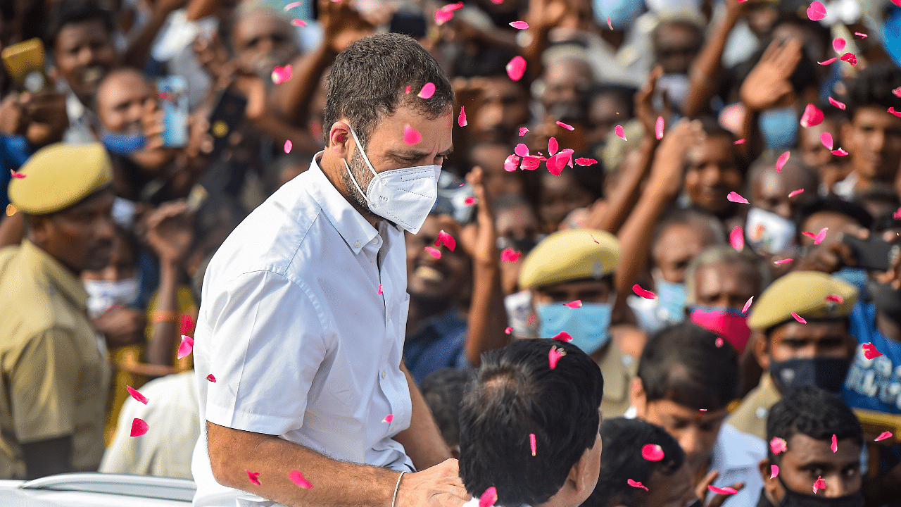 Congress leader Rahul Gandhi. Credit: PTI Photo