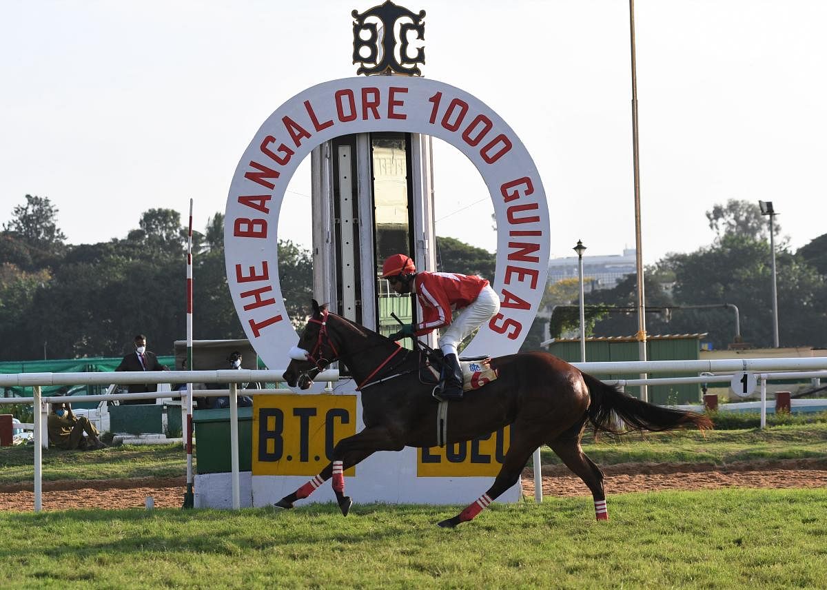 Forest Flame, having won in all her of her five starts, will be looking to maintain her unblemished track record in the Kingfisher Ultra Derby Bangalore on Tuesday. DH PHOTO/ BH SHIVAKUMAR