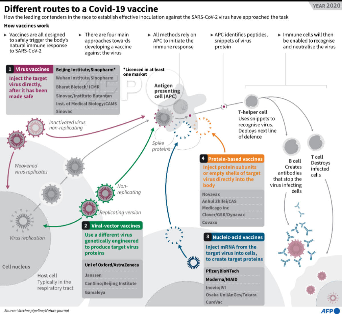 Infographics Covid vaccines