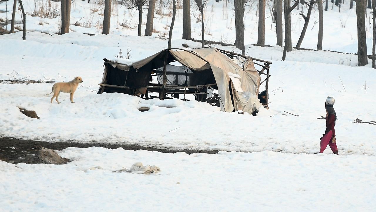 Representative Image. Credit: AFP File Photo.