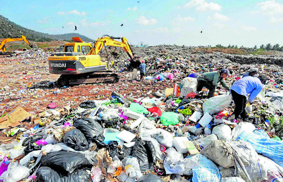 The decision is aimed at bettering the solid waste management process across the city. Credit: DH.