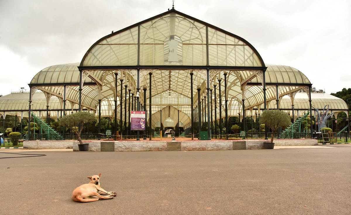 A glass house in Lalbagh. Credit: DH. 