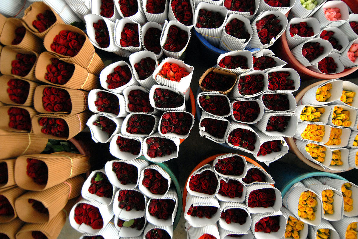 A file picture of roses of different varieties at the International Flower Auction Bangalore in Hebbal. DH PHOTO