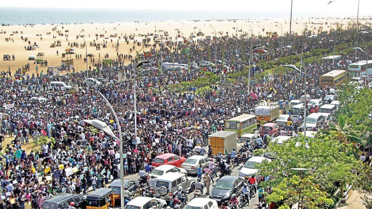 Protesters supporting Jallikattu at Marina Beach in Chennai. Credit: Wikimedia Commons