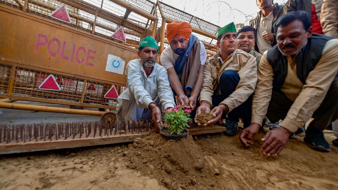 Farmers plant flower plants near the spikes fixed by the police, during their protest against new farm laws, at Ghazipur border, in New Delhi. Credit: PTI File Photo.