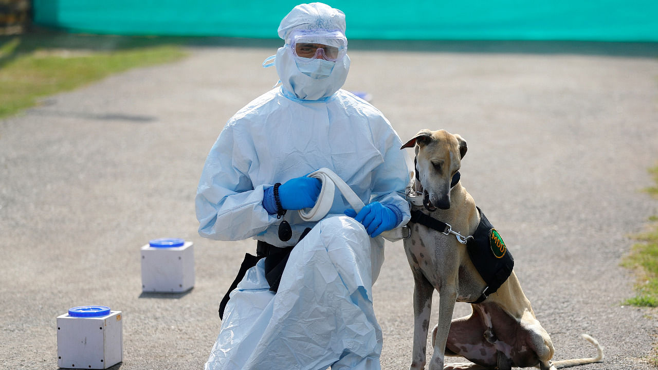 An army soldier wearing personal protective equipment (PPE) sits next to a military dog after a demonstration of the dog on how to detect the coronavirus disease (Covid-19), at an army veterinary hospital in New Delhi, India, February 9, 2021. Credit: Reuters Photo