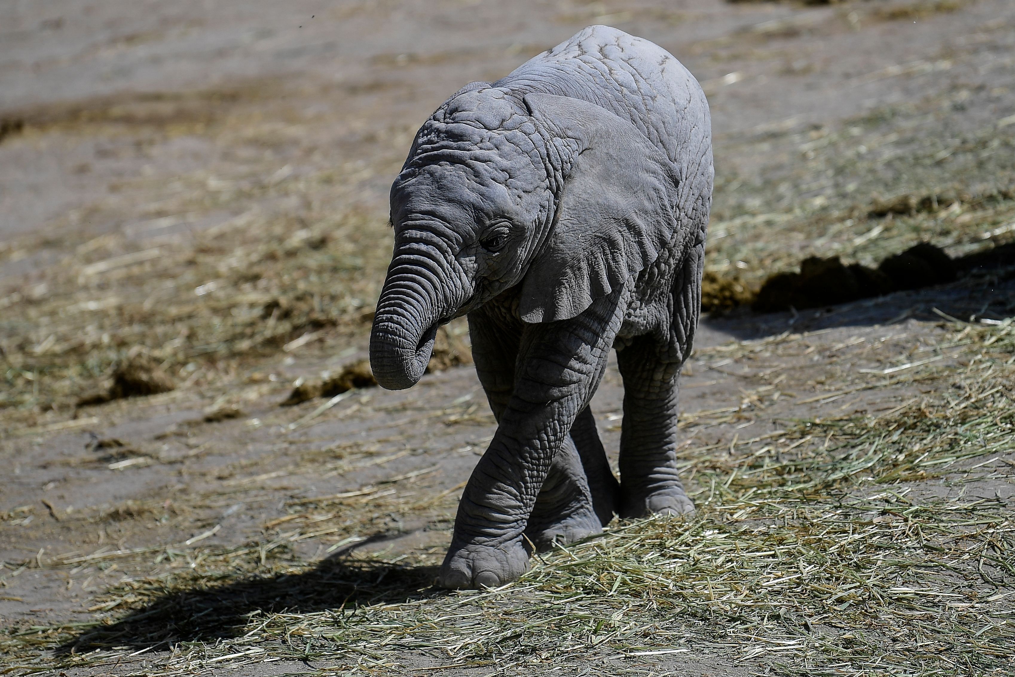 Representative image. Credit: AFP Photo