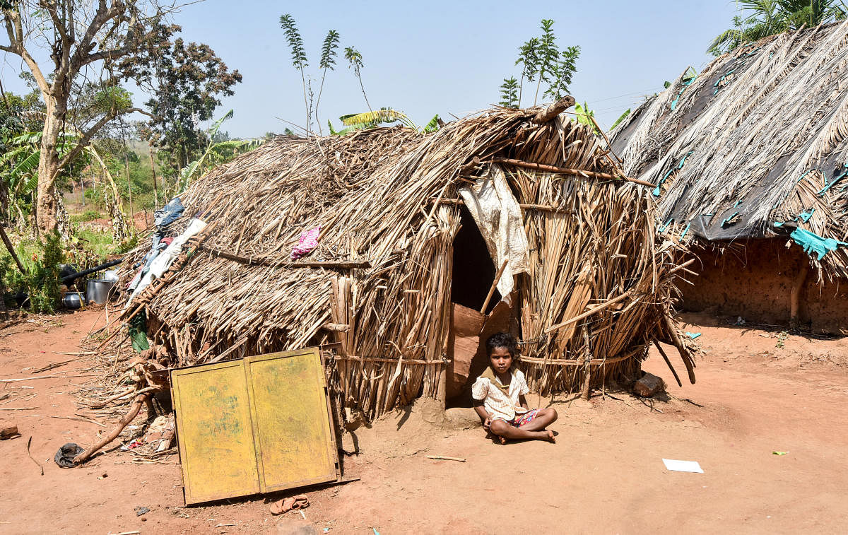 A hut at Sonahalli haadi, HD Kote Taluk, Mysuru district. Dh file Photo