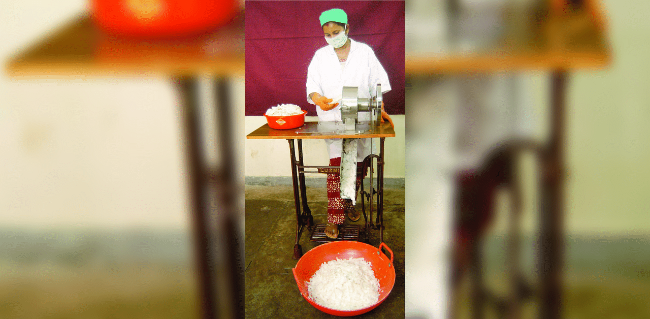 ‘Manually Operated Coconut Kernel Slicing Machine’ developed by ICAR-CPCRI received the national patent from the Patent office. Credit: DH photo. 