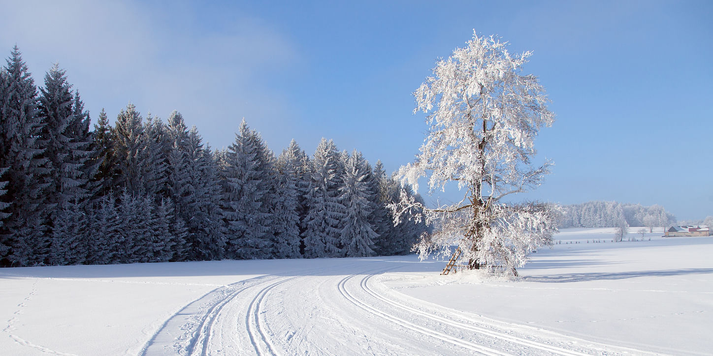 Ukraine has been hit with record snowfall in recent days. iStock image used for respresentative purpose.