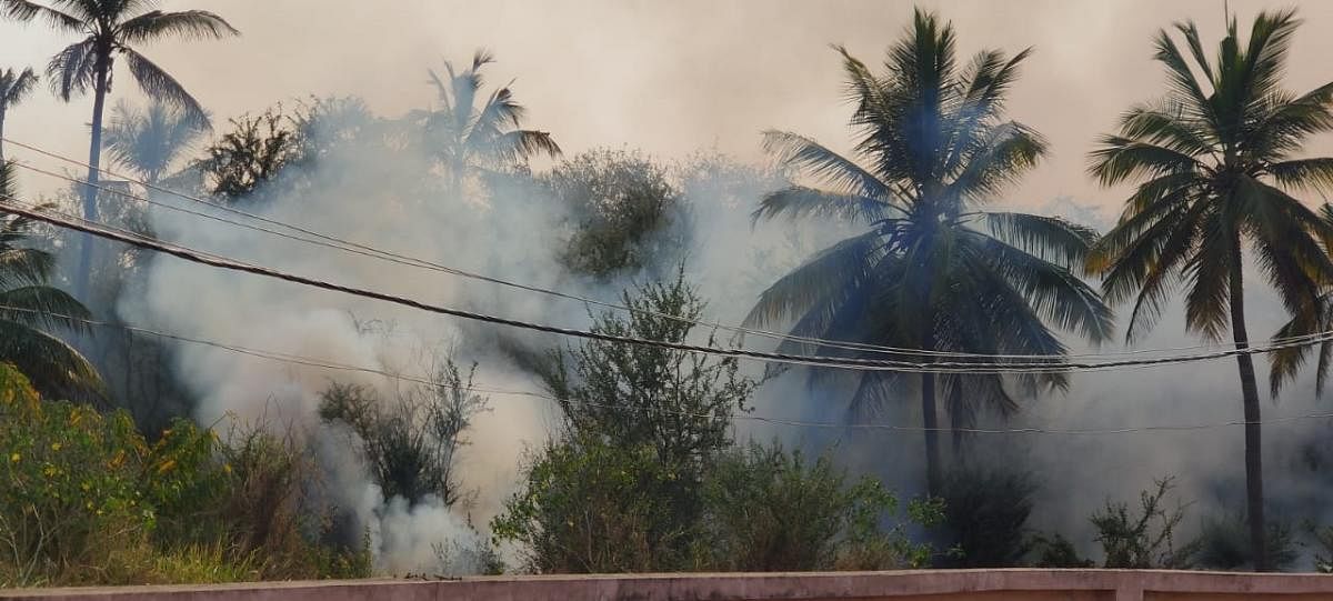 Dry leaves being burnt near Varthur. Credit: DH Photo