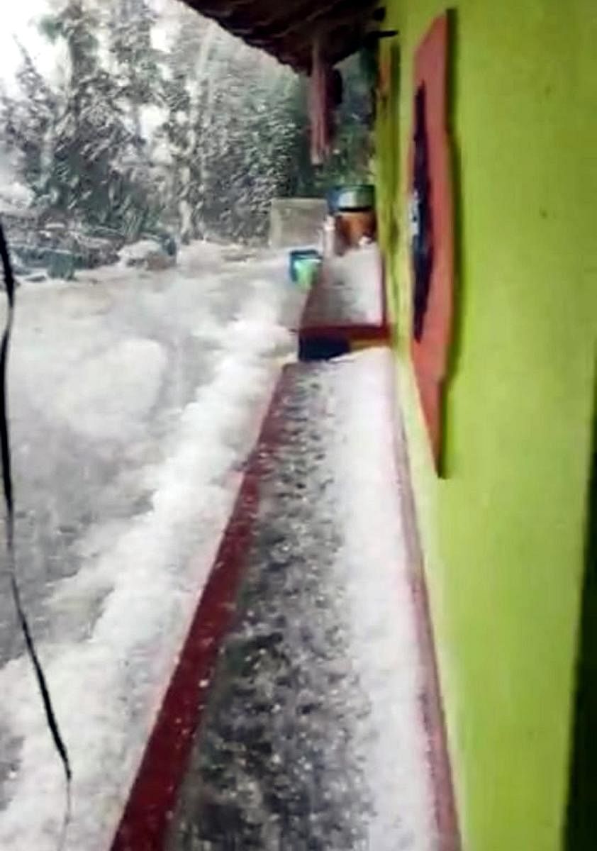 Rain accompanied by hailstones lashed Arkalgud taluk, Hassan district, on Friday.