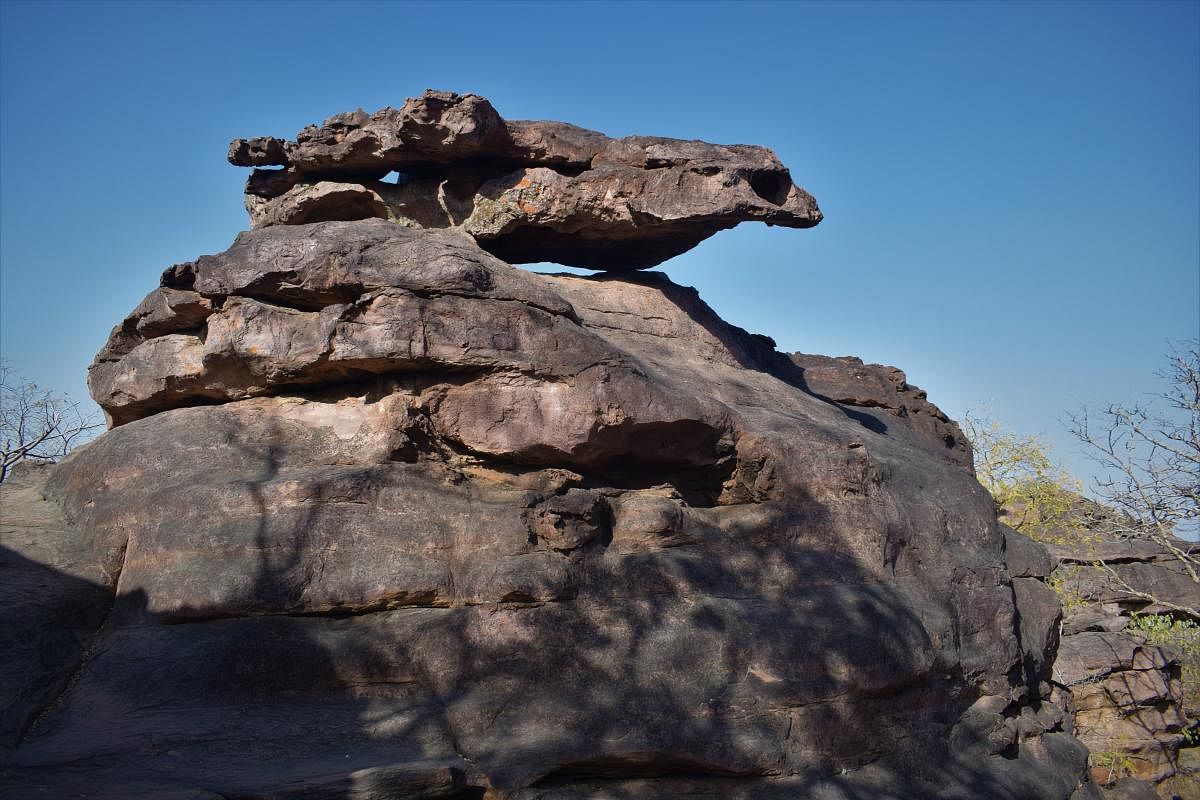 A tortoise-shaped rock formation in Bhimbetka. PHOTOS BY AUTHORS