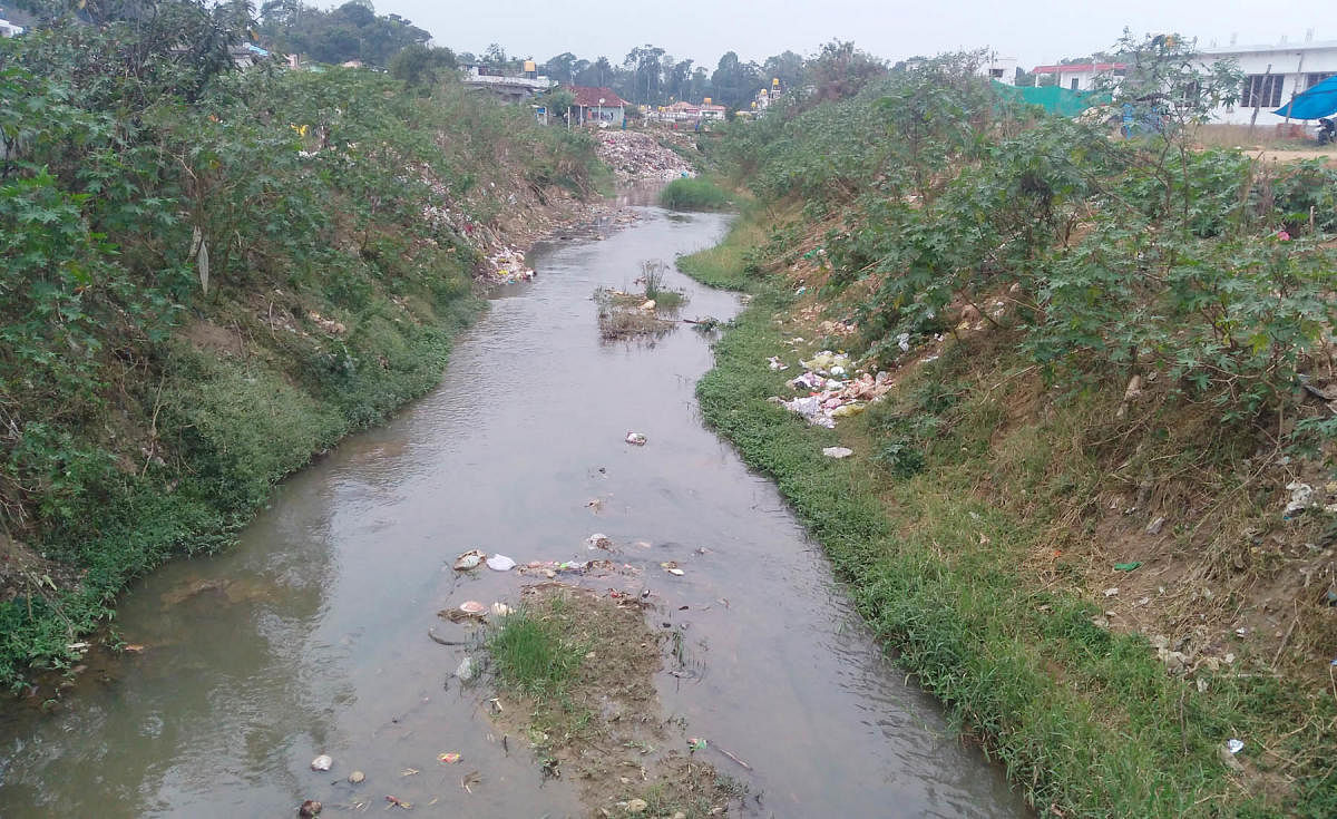 Keere stream, which flows in Gonikoppa, is filled with waste.