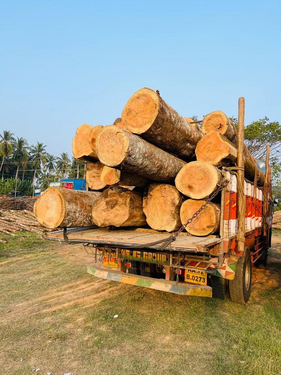 Forest department officials from Mangaluru seized wood being illegally transported from Attur.