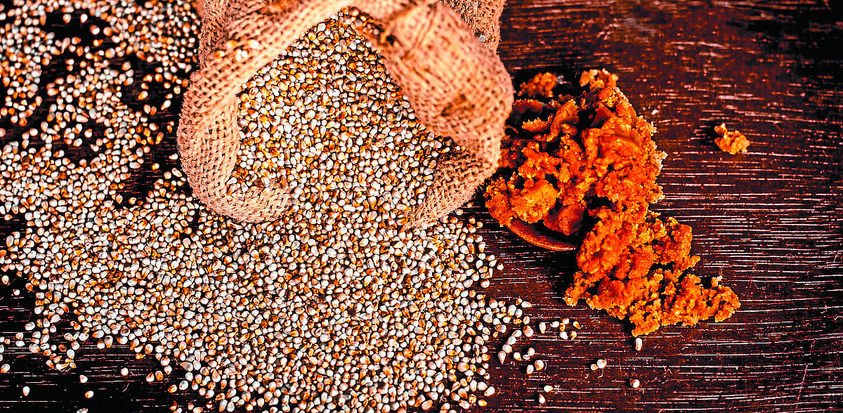 Fix MSP for millet Agriculture panel tells Karnataka govt