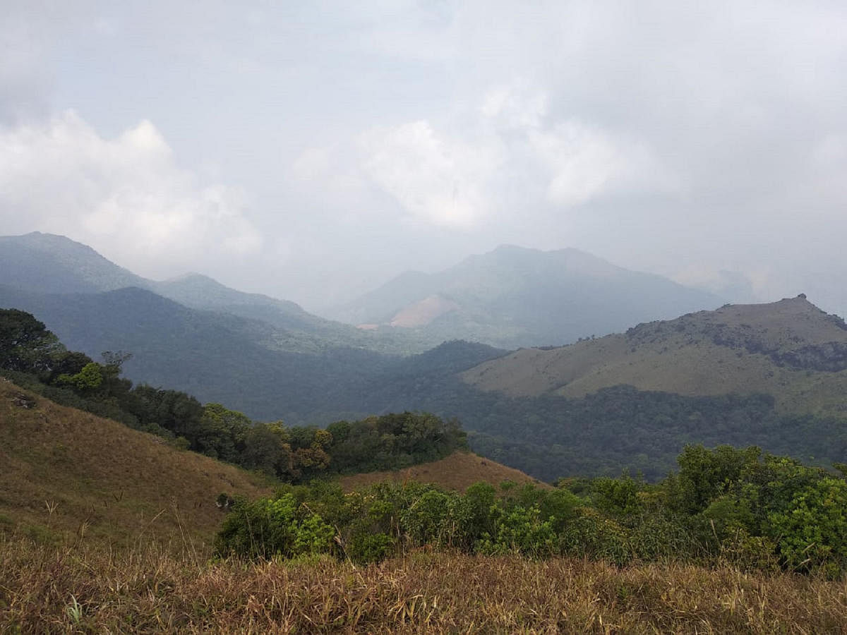 A view from the top of Tadiyandamol Hill in Kodagu.