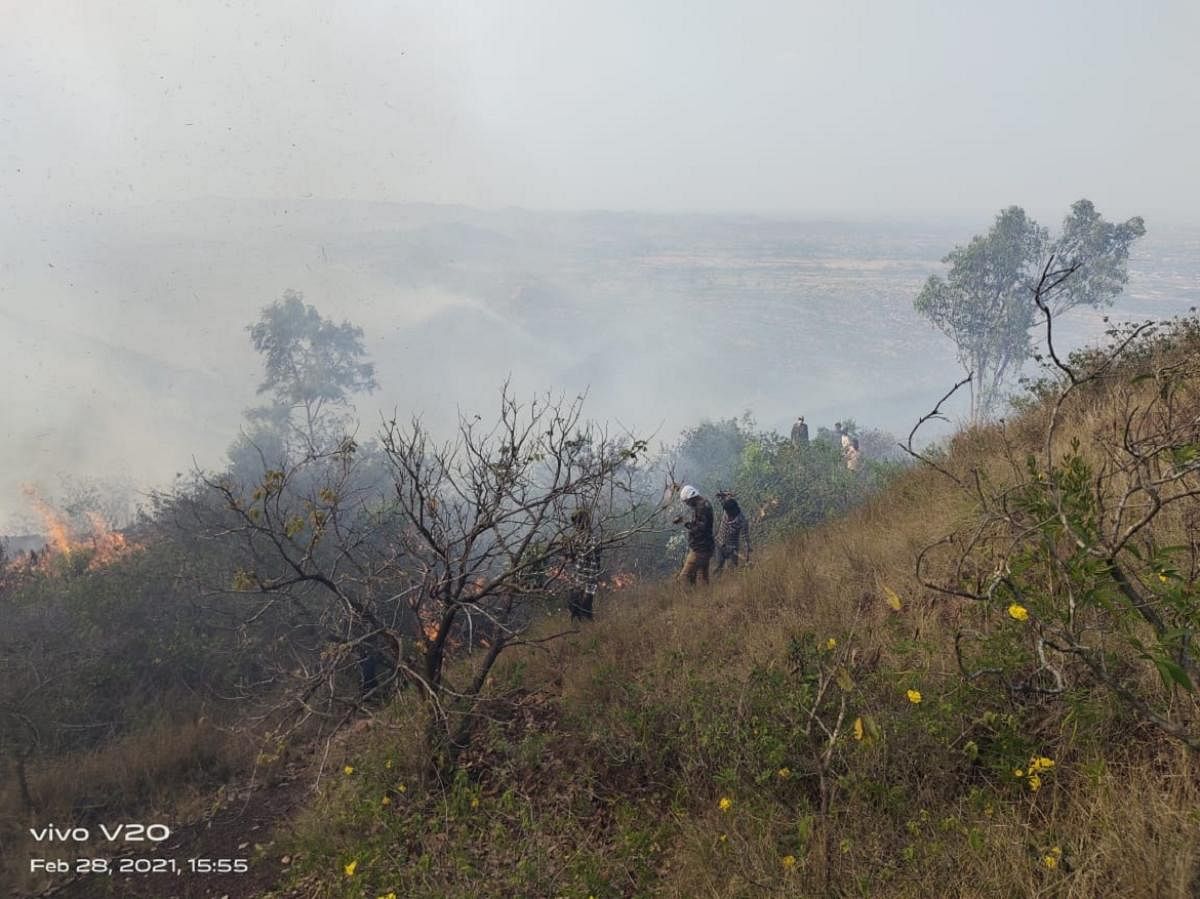 Shrubs and dry grass on over 50 hectares were destroyed in a wildfire at Kappatagudda hill near Doni village in Gadag district. Credit: DH PHOTO