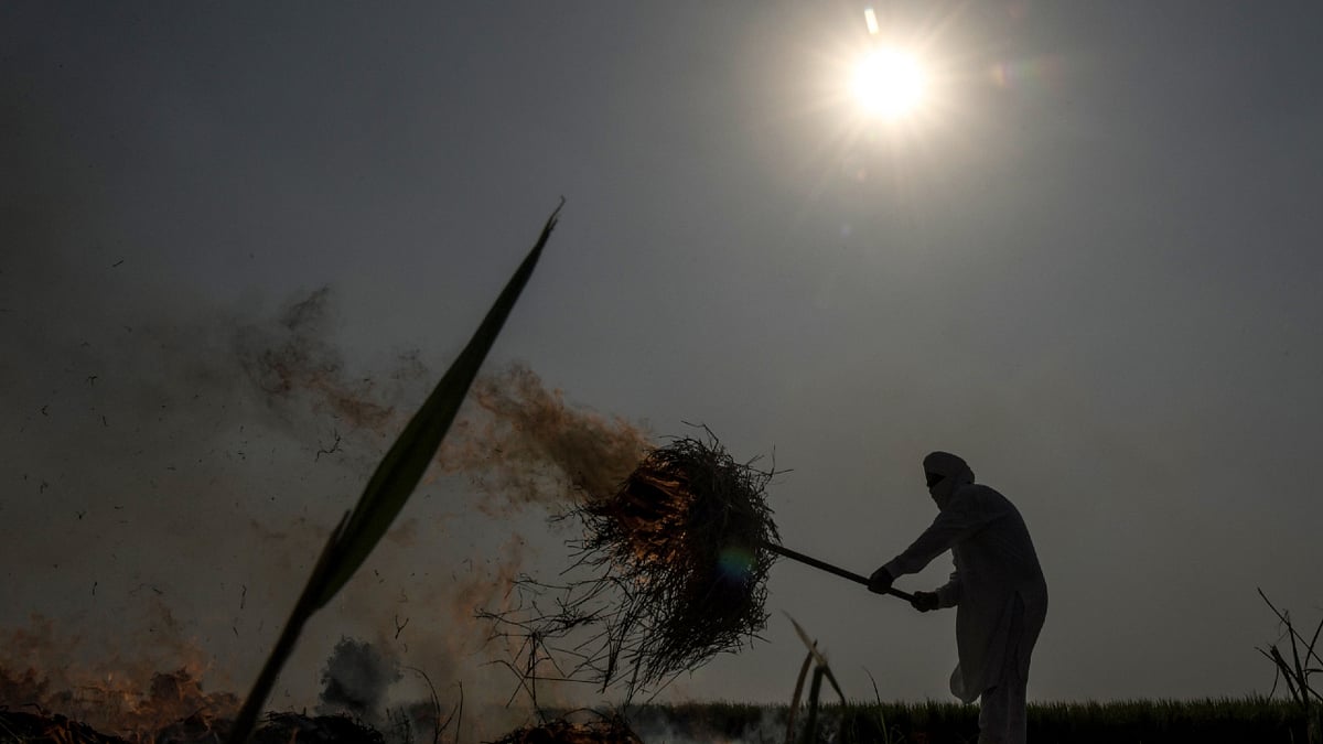 Farmers destroy crops in UP village protesting against new farm laws