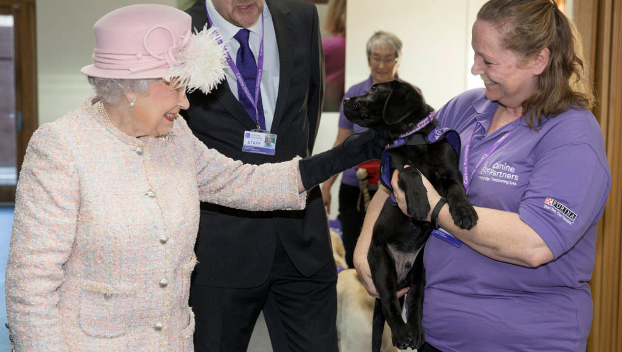 Queen Elizabeth II is introduced to 12 week old Labrador puppy "Flint" by her trainer Ruth Narracott as she tours the facilities at "Canine Partners" charity on November 30, 2017 in Midhurst, England. Credit: Illustrative Image/Getty Images