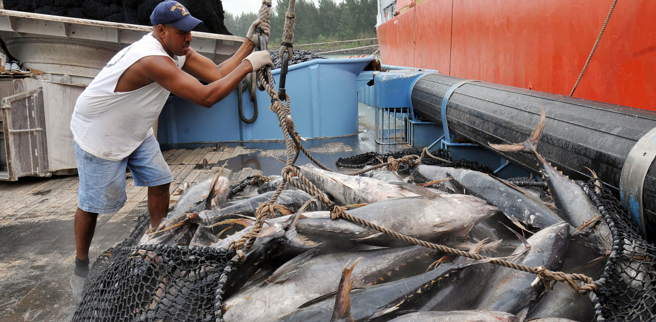 Workers offload tuna from a fishing boat in Port Victoria. Credit: Reuters Photo