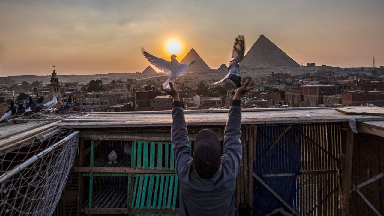 Omar Gamal, a 28-year-old pigeon keeper, releases his pigeon from a coop on a rooftop in the Egyptian capital's twin city of Giza with the Pyramids of (R to L) Khufu (Cheops), Khafre (Chephren), and Menkaure (Menkheres) in the background. Credit: AFP Photo