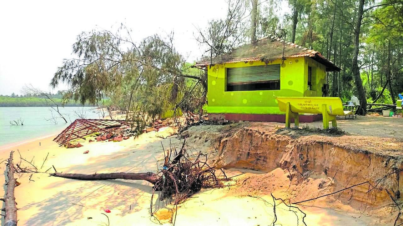 Munda Beach severely affected by sea erosion near Haleyangady. Credit: DH Photo.