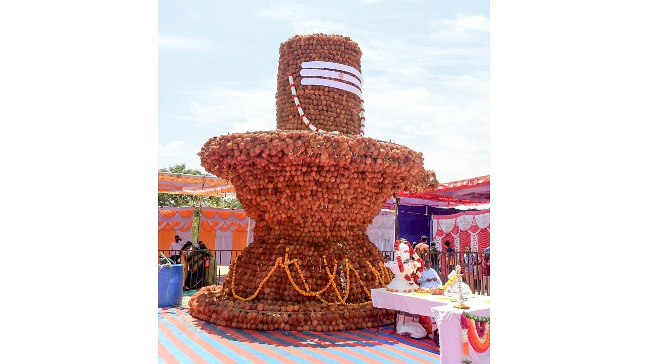 A Shivalinga measuring 21 feet in height, made of coconuts by Prajapita Brahma Kumaris Ishwariya Vishwa Vidyalaya, on Lalitha Mahal Ground in Mysuru. DH Photo