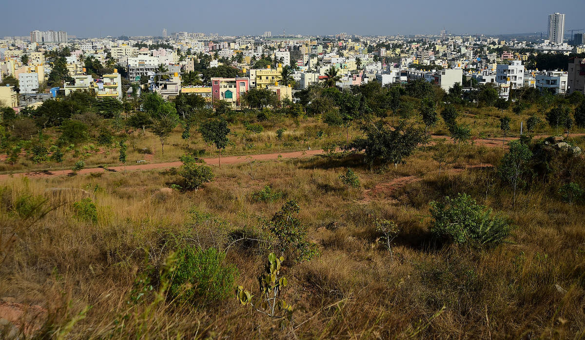 A view of the surrounding area around the Tree Park at Turahalli. Credit: DH Photo