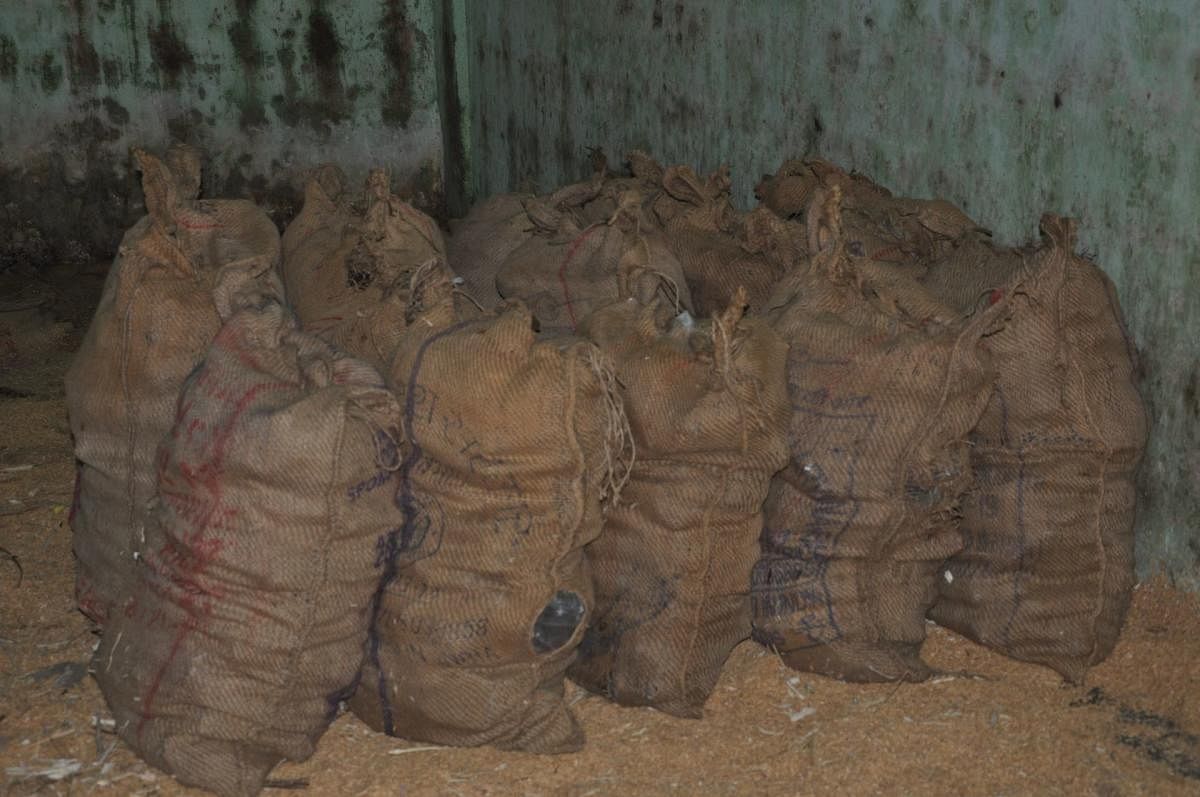 Substandard jaggery stored at the APMC godown, in Mandya. Credit: DH Photo