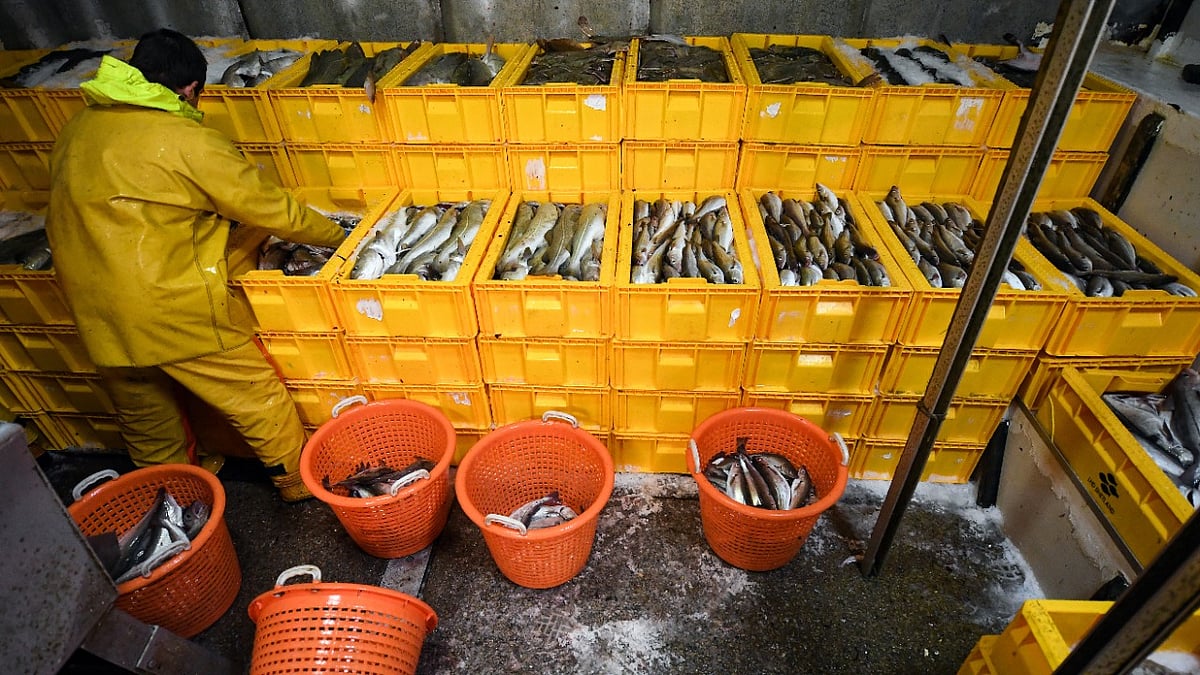 UK, EU, Norway agree deal on fishing quotas in North Sea