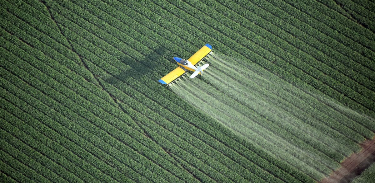 Spray hand sanitiser from planes Brazilian politician's odd idea to