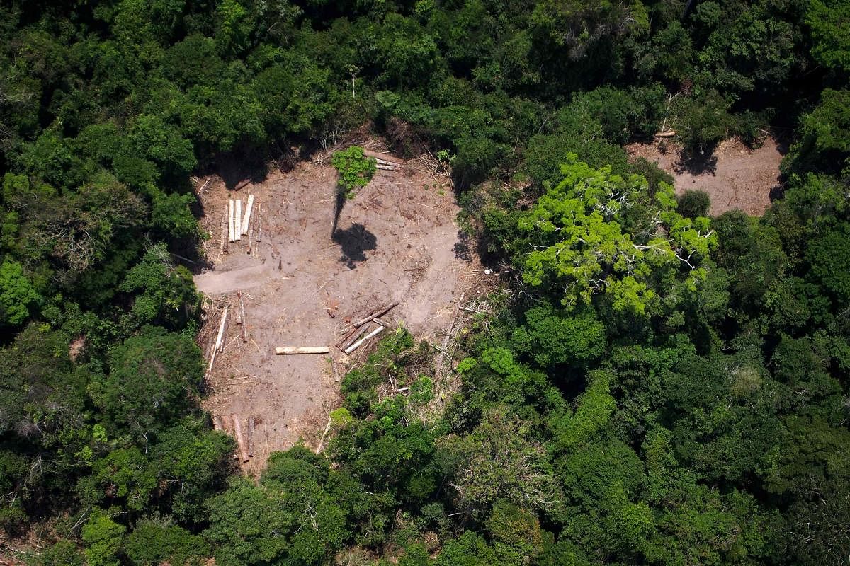 (FILES) File photo taken on October 13, 2014 showing an aereal view of an illegal felling area in the Amazon forest during an overflight by Greenpeace activists over areas of illegal exploitation of timber, as part of the second stage of the "The Amazon's