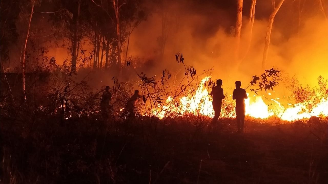 Fire in Turahalli Forest. Credit: DH Photo