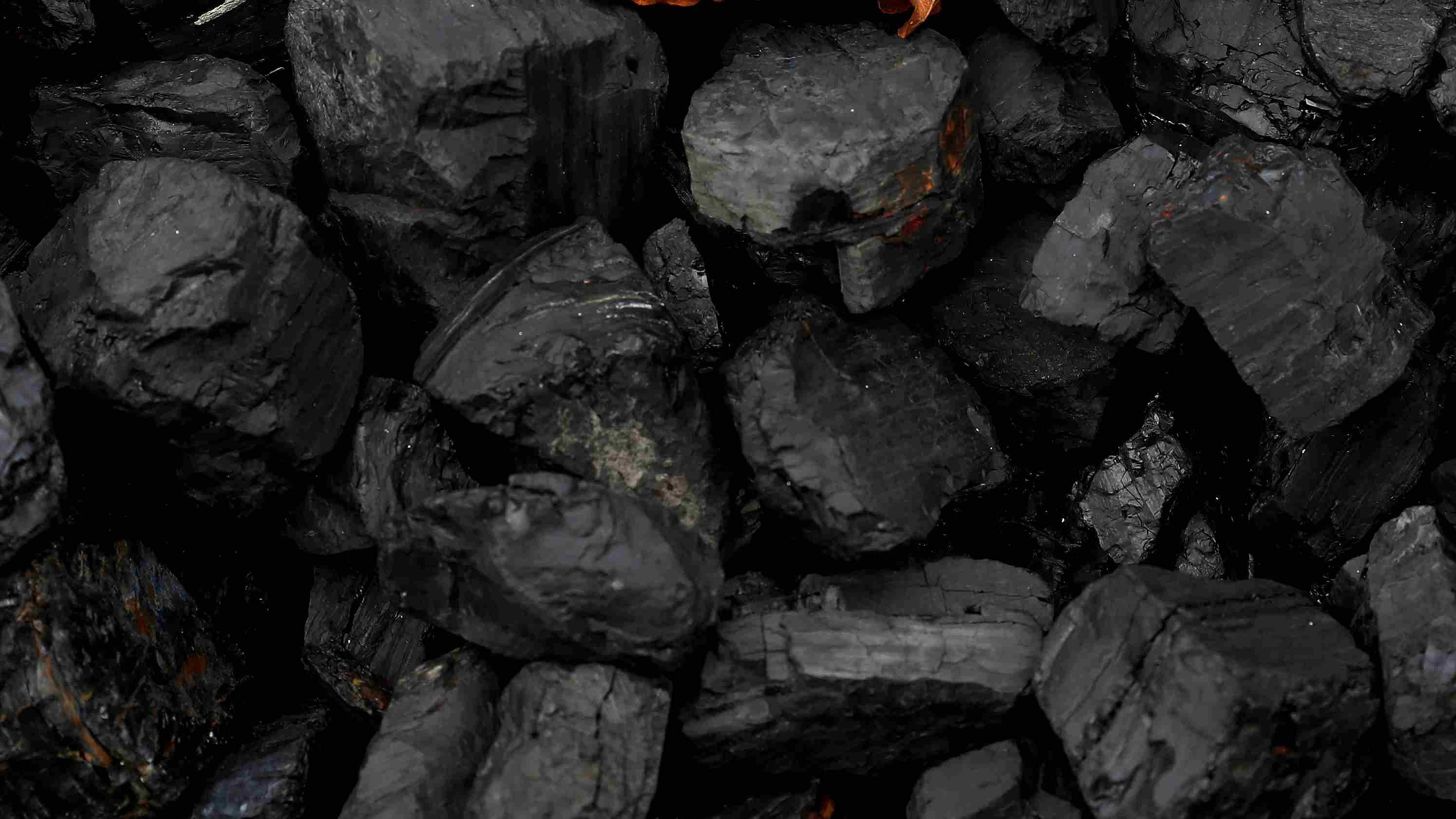 The Central government has allocated a coal block in Madhya Pradesh to Goa. Credit: Reuters Photo