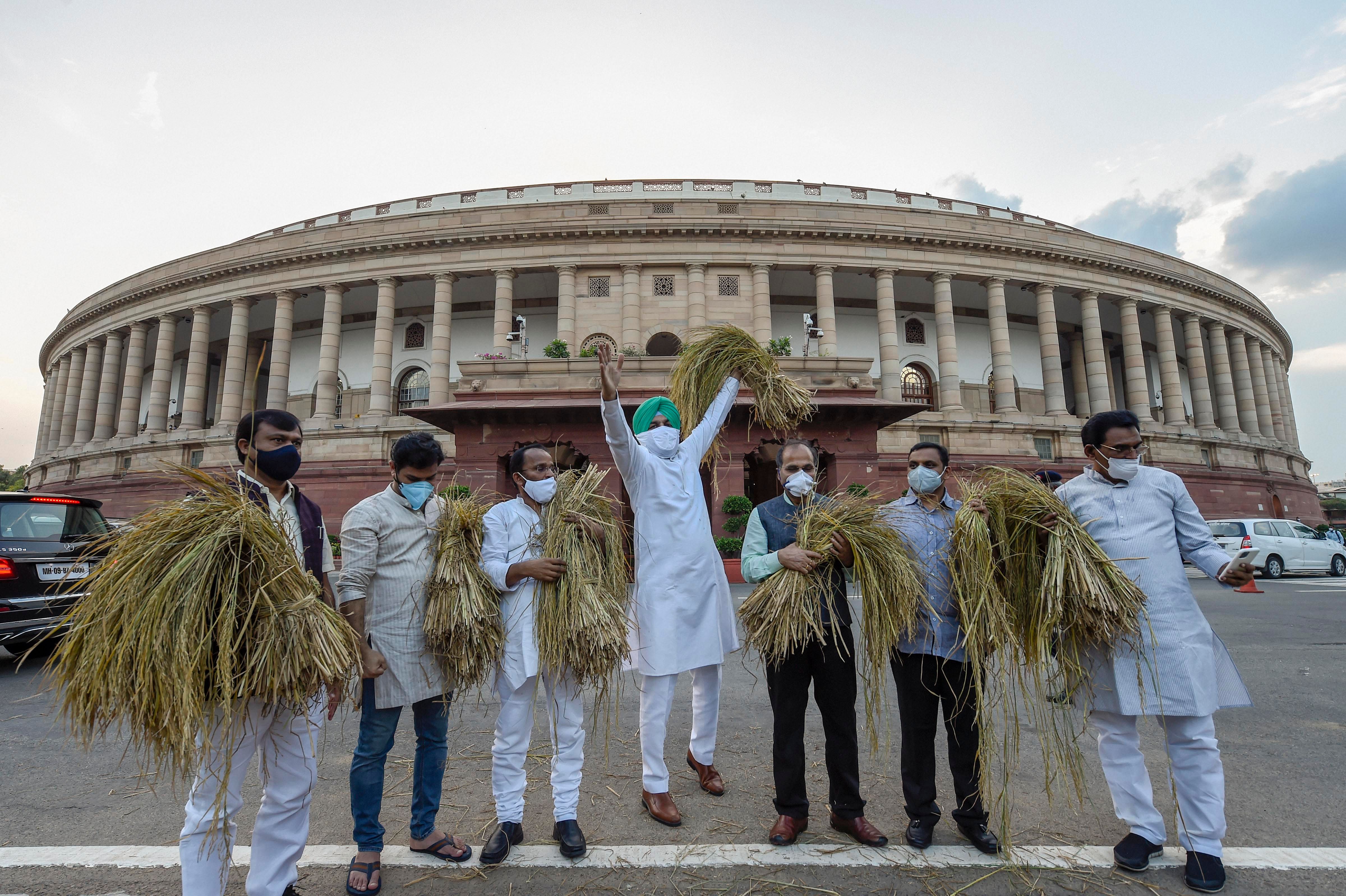 Congress MPs Dean Kuriakose, Hibi Eden, Gurjeet Singh Aujla and others protest against the recent farm bills. Credit: PTI