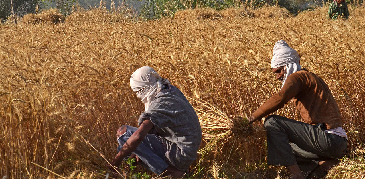 Representative image. Credit: AFP File Photo