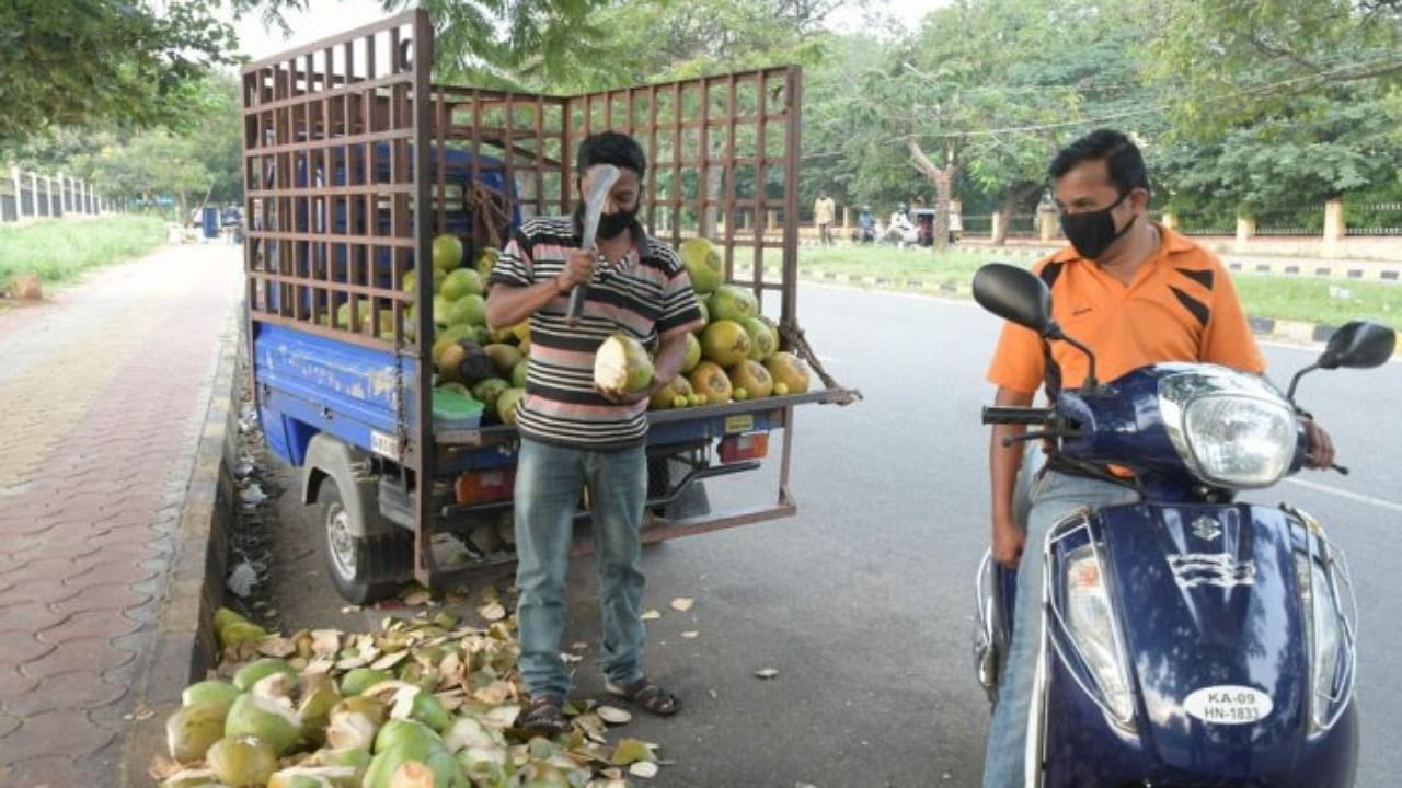 A vendor cut a tender coconut for a customer near Maharaja’s College Grounds, Krishnaraja Boulevard in Mysuru. Credit: DH Photo