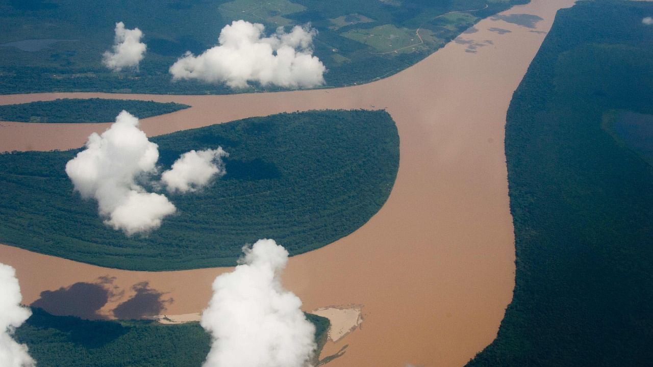 The Amazon rain forest. Credit: AFP File Photo