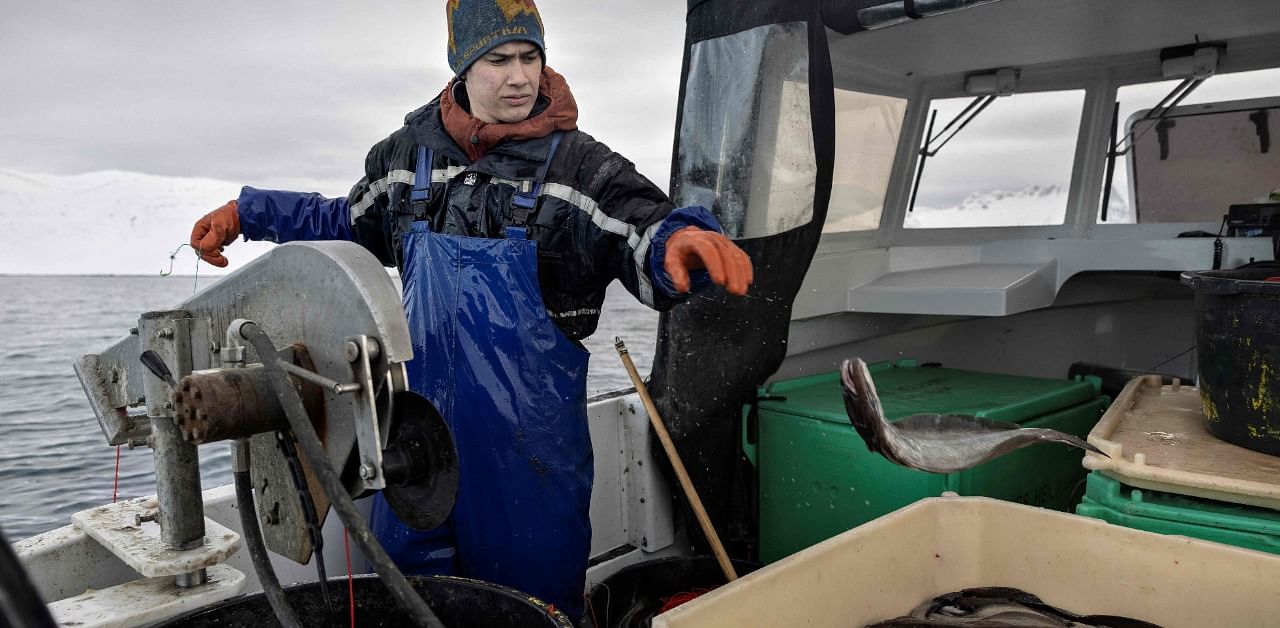 Independent fisherman Lars Heilmann fishes for halibut in Nuuk. Credit: AFP Photo