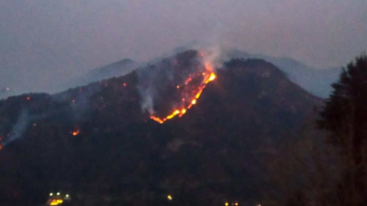 A fire broke that out in the forest of Junastat in Bhimtal area of Nainital district. Credit: PTI.