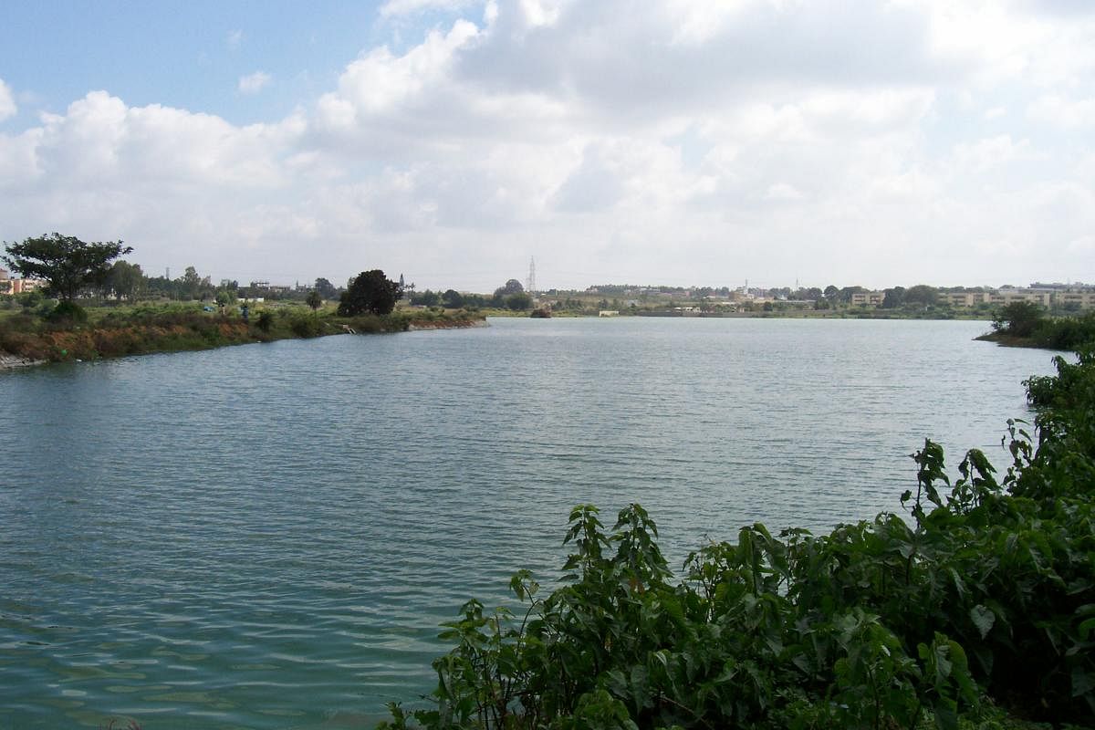 Kudlu Lake is located in the Begur subdivision of the BBMP's Bommanahalli ward. DH FILE PHOTO
