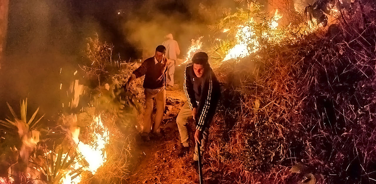 Forest workers engaged in extinguishing the fire in the forests of Tehri district. Credit: PTI Photo