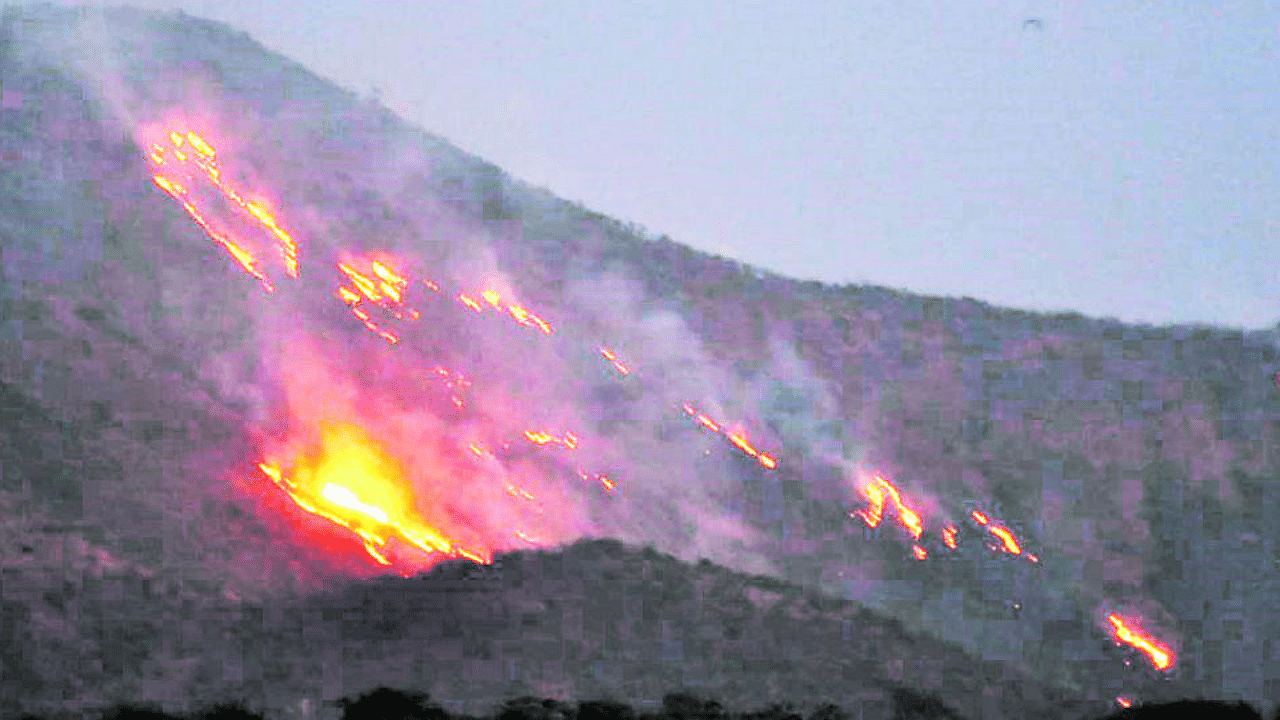 Fire rages at Pallakki Gudda and Gaviraya Betta in Kollegal taluk, Chamarajanagar district. Credit: DH Photo