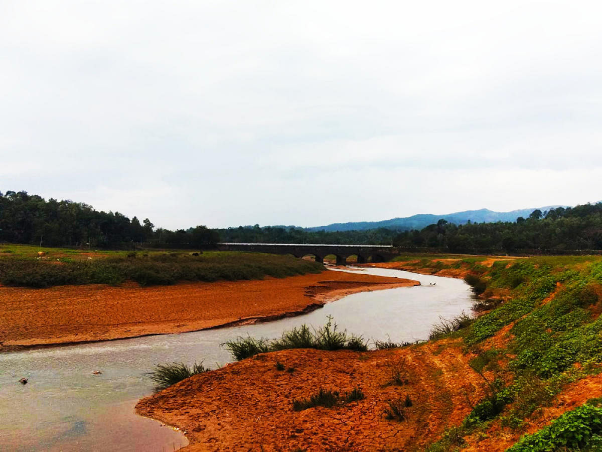 Soil accumulated on the banks of Haradoor rivulet near Suntikoppa.