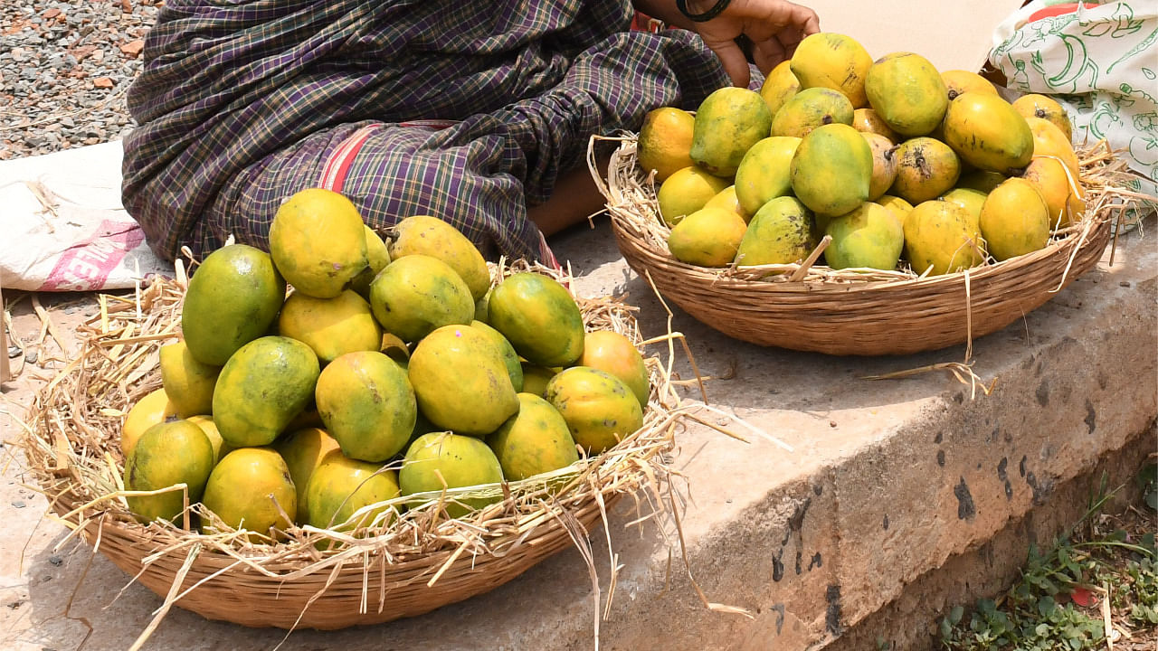 Though the yield is expected to reduce from 14 to 10 lakh tonnes due to the January rains, market dynamics are expected to stabilise the prices. Credit: DH Photo