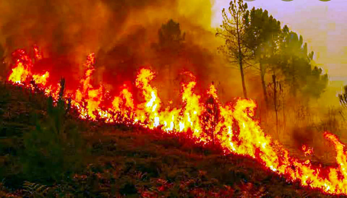 A wild fire in the Tankore forest area of Uttarkashi district. File PTI photo.