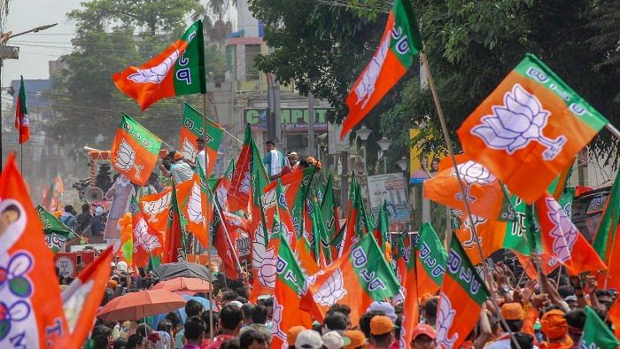 BJP flag at a political rally. Credit: PTI Photo