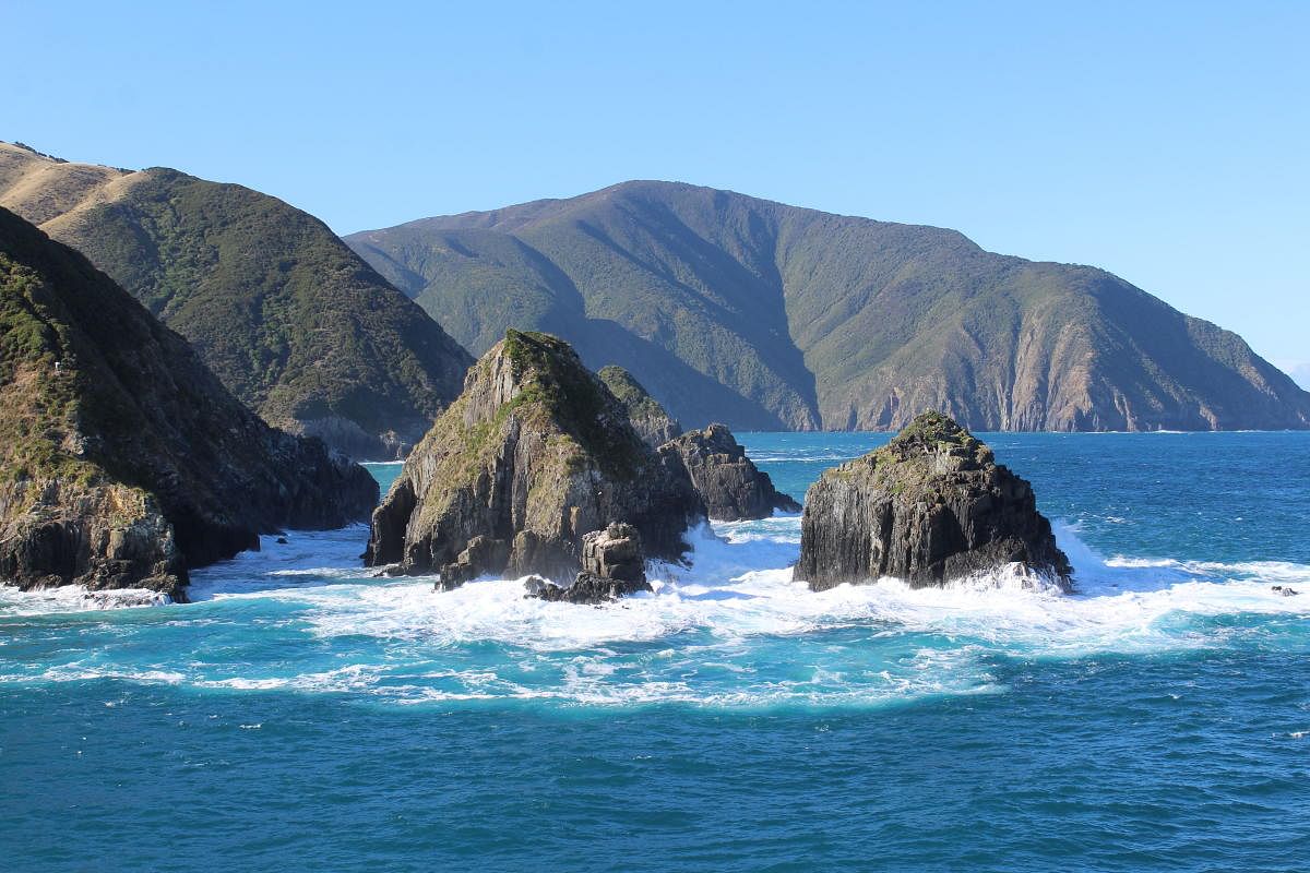When we were still in the zone of Marlborough Sounds. PHOTOS BY AUTHOR
