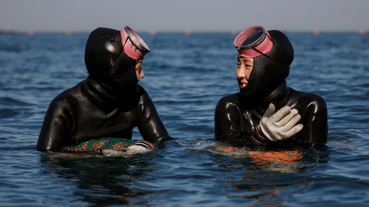 Haenyeo, also known as "sea women" Jin So-hee, 28, and Woo Jung-min, 35, talk to each other in the sea off Geoje, South Korea, March 30, 2021. Credit: Reuters Photo
